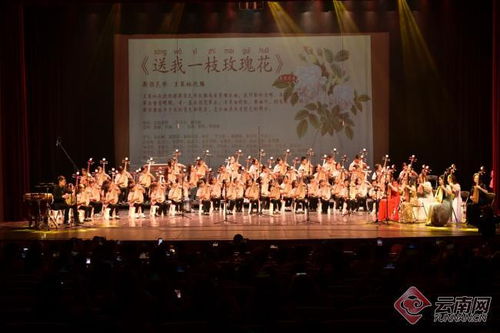 「彩云花韻」首屆琵琶文化藝術周圓滿落幕 弦音繞梁，經典永續
